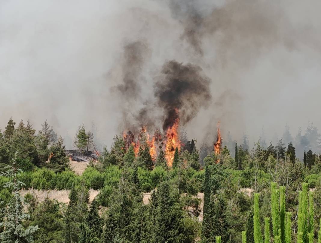 Pamukkale orman yangını! Hem havadan hem de karadan müdahale ediliyor 12